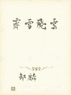 霁雪飞云