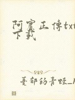 阿宾正传txt下载