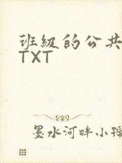 班级的公共玩具TXT