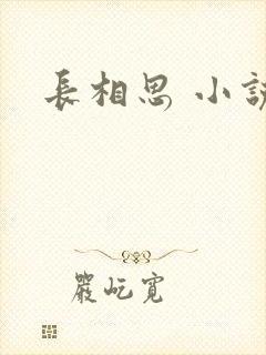 长相思 小说