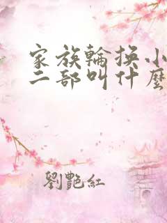 家族轮换小说第二部叫什么名字