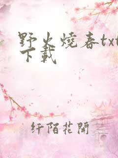 野火烧春txt下载