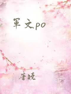 军文po