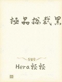 极品总裁黑道妻