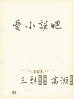 爱小说吧