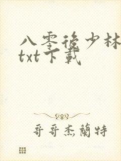 八零后少林方丈txt下载