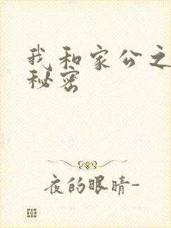 我和家公之间的秘密