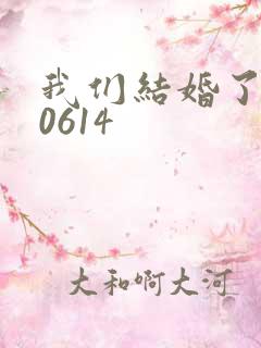 我们结婚了130614