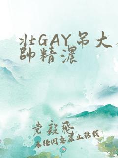 壮GAY吊大人帅精浓