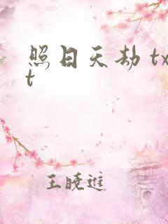 照日天劫 txt