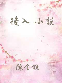 后入 小说