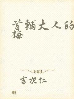 首辅大人的小青梅