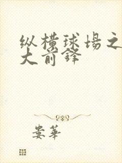 纵横球场之暴力大前锋