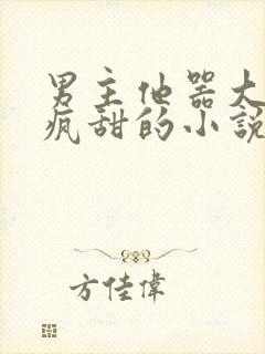 男主他器大活好疯甜的小说