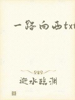 一路向西txt