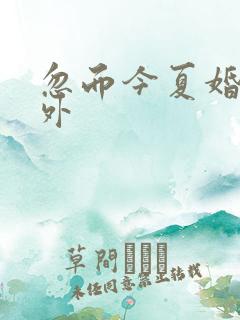 忽而今夏婚后番外