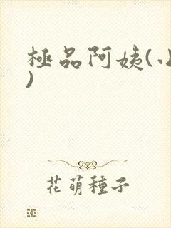 极品阿姨(小说)