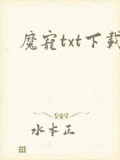 魔宠txt下载