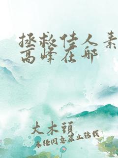 拯救佳人素柔 高峰在哪