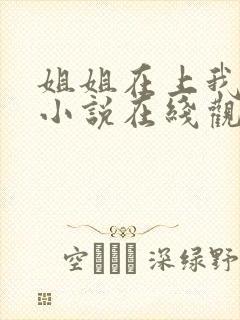 姐姐在上我在下小说在线观看