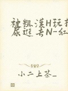 被粗汉H玩松了尿进去N-红-Q