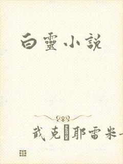 白灵小说
