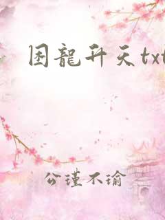 困龙升天txt