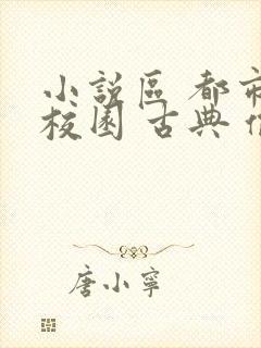 小说区 都市 校园 古典 偷拍