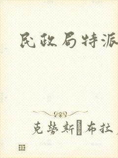 民政局特派对象