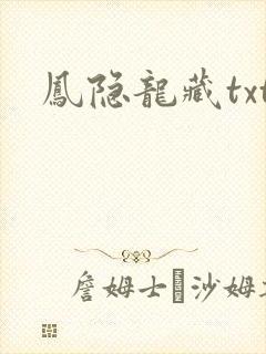 凤隐龙藏txt
