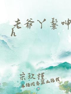 老爷丫鬟呻吟高h