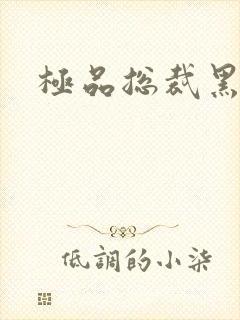 极品总裁黑道妻