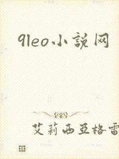 9leo小说网
