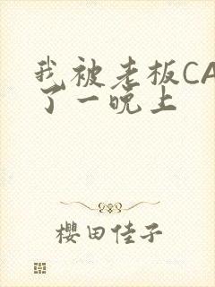 我被老板CAO了一晚上