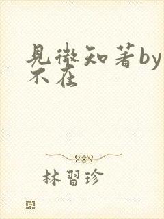 见微知著by音不在