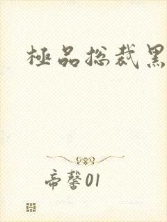 极品总裁黑道妻