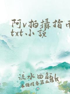 阿v拍摄指南说txt小说