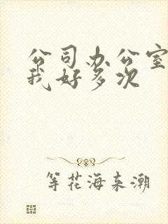 公司办公室c了我好多次