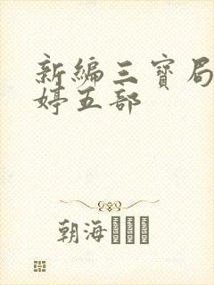 新编三宝局长许婷五部