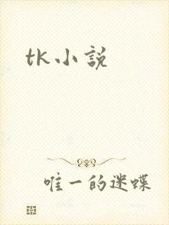 tk小说