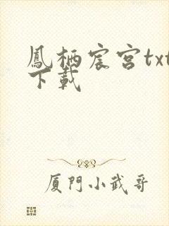凤栖宸宫txt下载