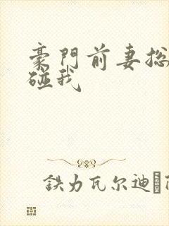 豪门前妻总裁别碰我