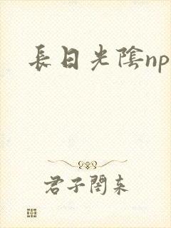 长日光阴np