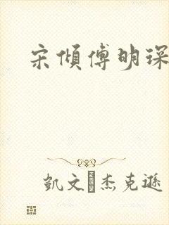 宋倾傅明琛小说