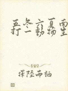 五冬六夏南北聚打一动物生肖