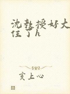 沈教授好大含不住了h