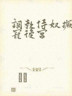 调教侍奴撅臀男宠后宫