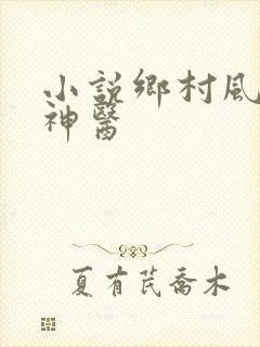 小说乡村风流小神医