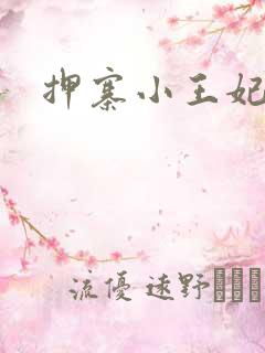 押寨小王妃