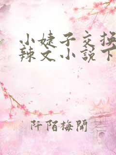 小婕子交换系列辣文小说下载